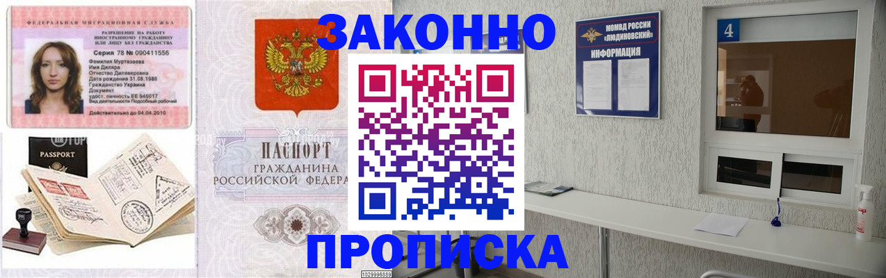 прописка в квартире в Суворове
